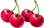 Cherries symbol